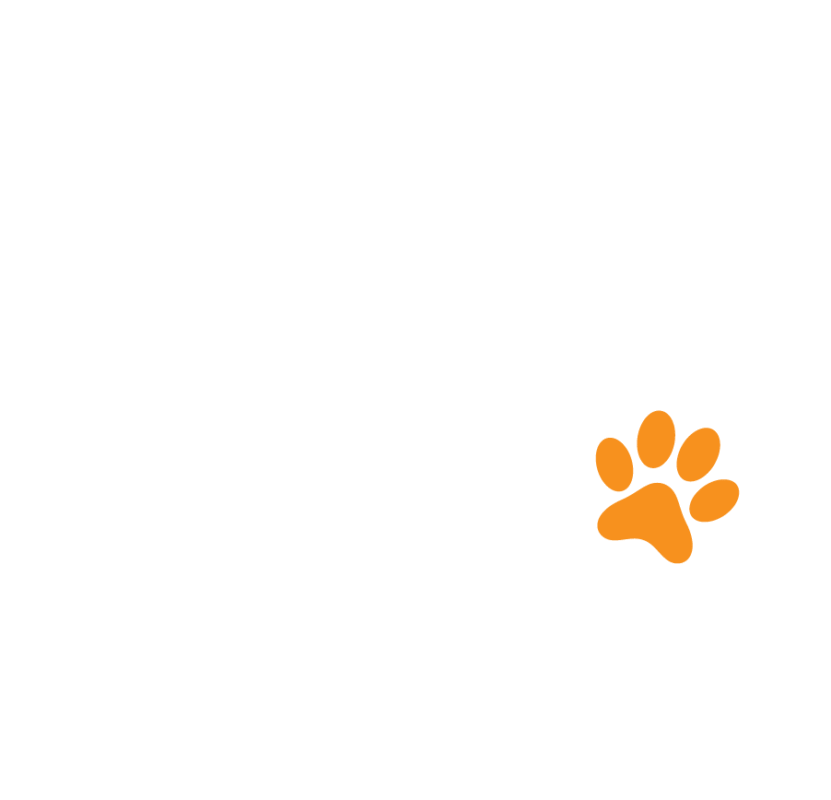 Petsasa Vetcare +P White Clear Background logo
