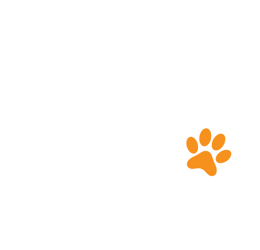 Petsasa Vetcare +P White Clear Background logo